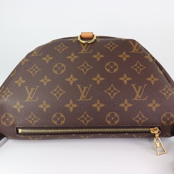Louis Vuitton Monogram Bumbag - Picture 10 of 16